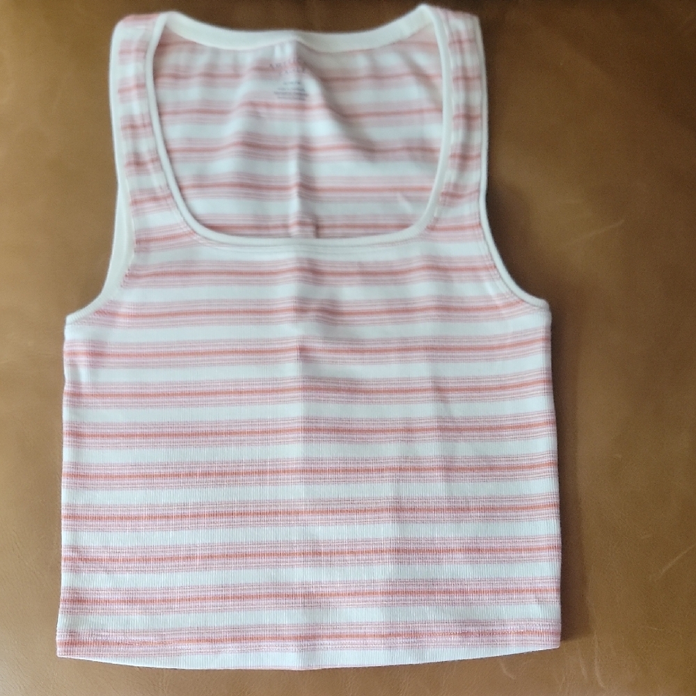 American Eagle Outfitters Pink and White Striped Top